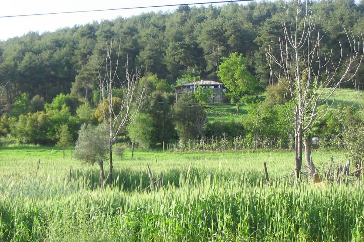 Köy evleri