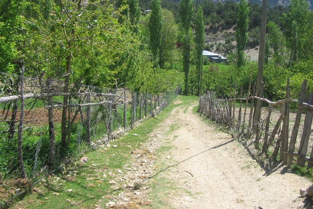 Köy yolu